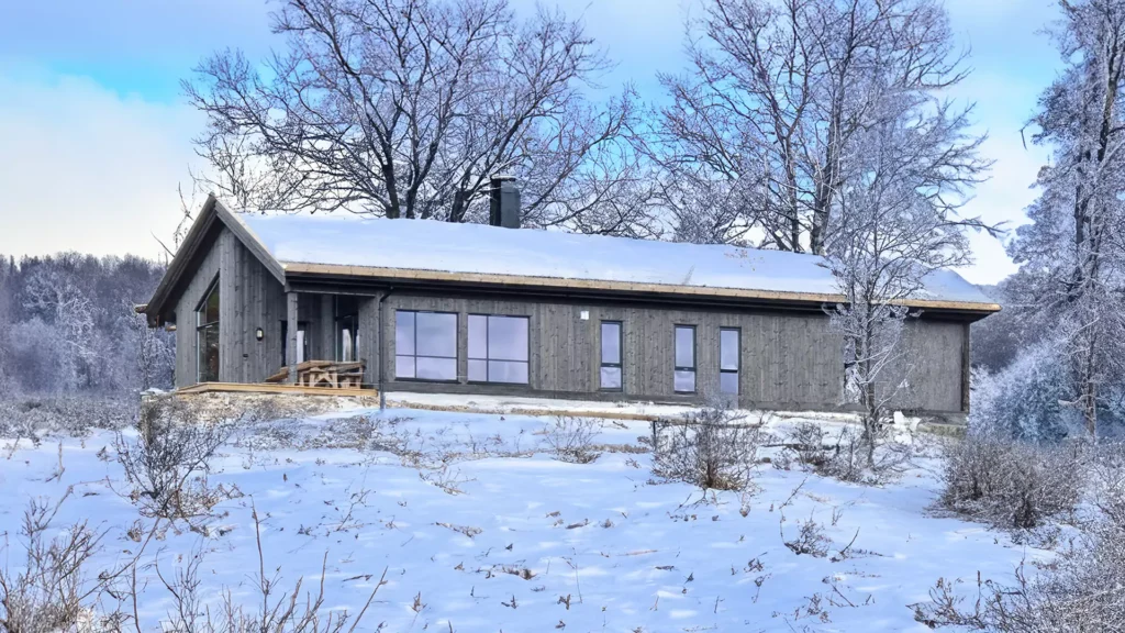 Langedrag 142 vinter 1920x1080