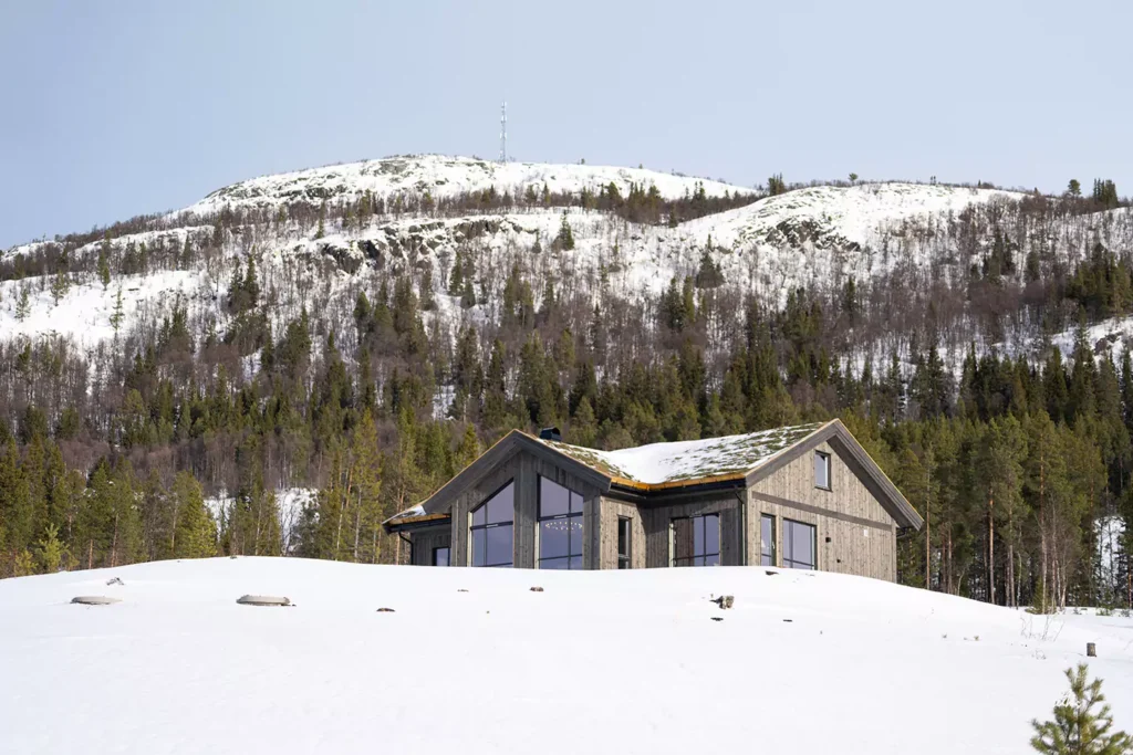 Skoghorn 118 1440x960