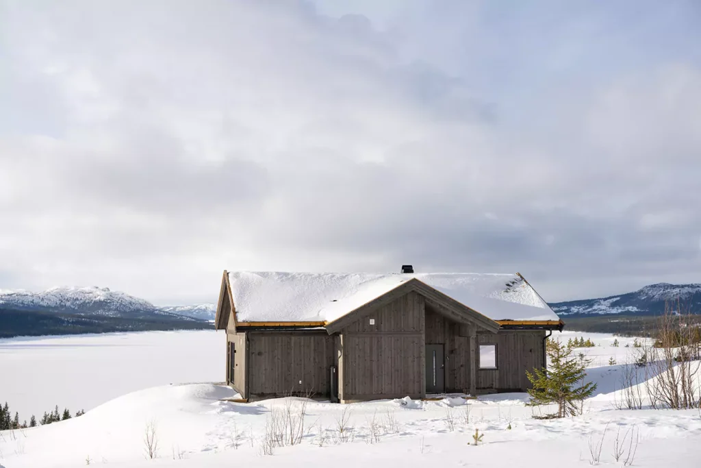 Skoghorn 118 1440x960