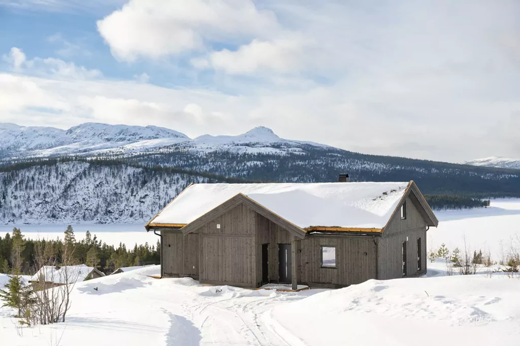 Skoghorn 118 1440x960