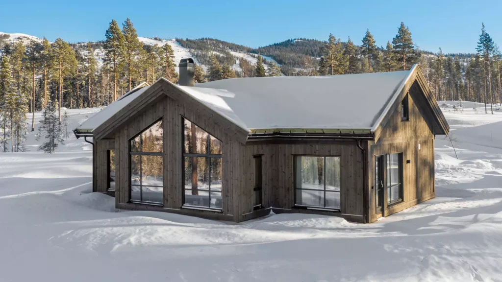 Skoghorn 118 vinter 1920x1080